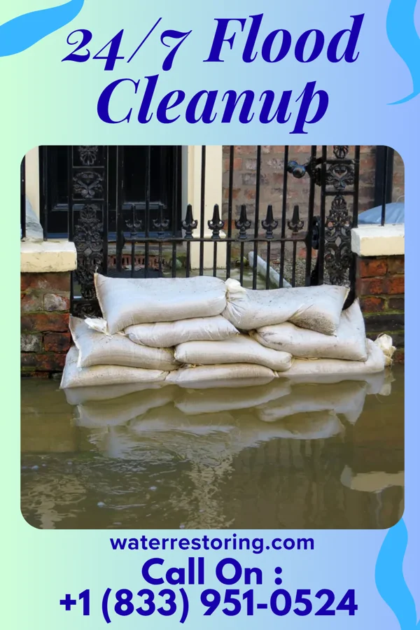 24/7 Flood Cleanup in Allisonia, VA